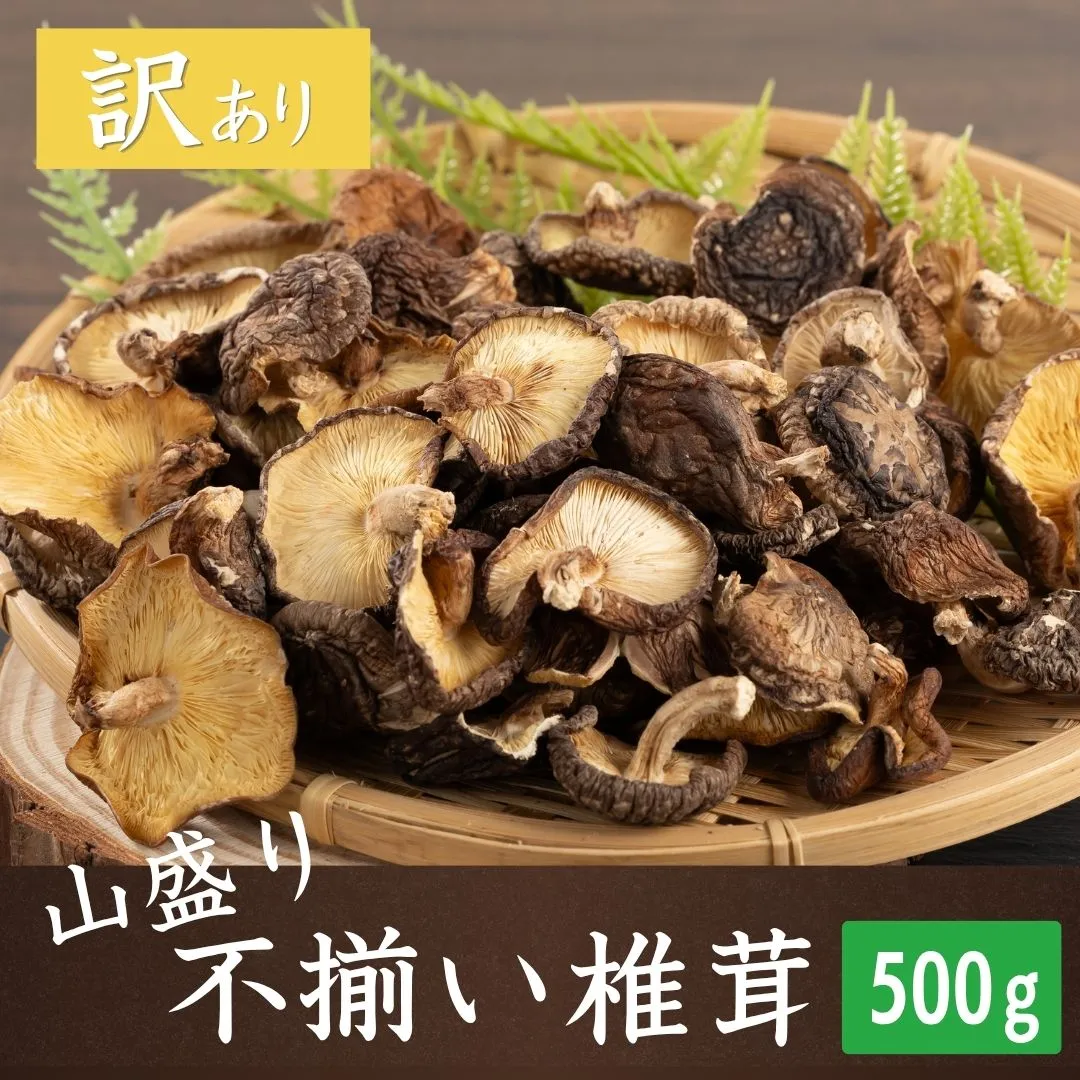 [訳あり] 山盛り 不揃い 椎茸 500g | 乾燥椎茸 きのこ 茸 家庭用 しいたけ 乾燥シイタケ 国産 九州 大分県 津久見市 大容量 送料無料