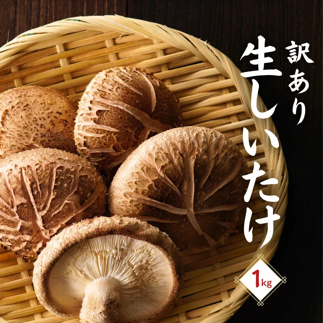 訳あり・大分産椎茸（生椎茸）津久見で育てた肉厚生椎茸 生しいたけ 1㎏ | しいたけ 生椎茸 シイタケ 乾し椎茸 大分県産シイタケ しいたけステーキ 椎茸生 しいたけきのこ ギフト 国産 産地直送 津久見市  【tsu005402】