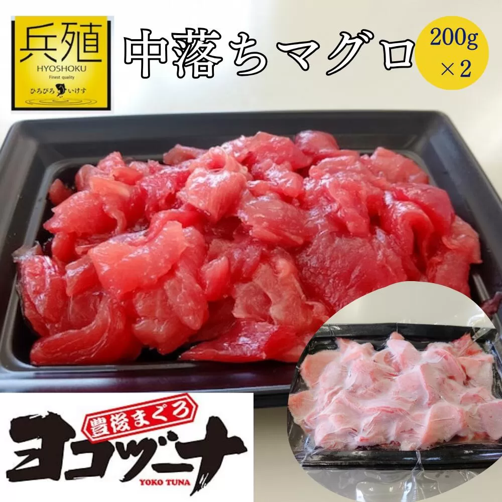 【本マグロ・豊後マグロ】豊後まぐろヨコヅーナ 中落ち 200g×2（本まぐろ） | マグロ まぐろ ぶんごまぐろ マグロ中落 マグロ希少 まぐろ中 まぐろ部位 まぐろヨコヅーナ 刺し身 大分県産 九州産 津久見市 【tsu001112】