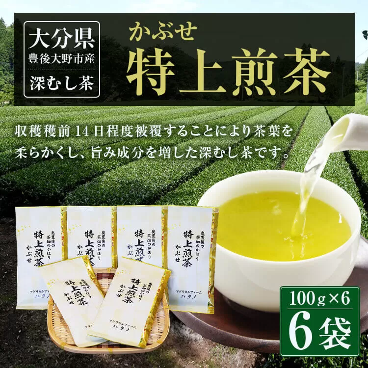 014-186 特上煎茶 かぶせ 100ｇ×6袋 600g