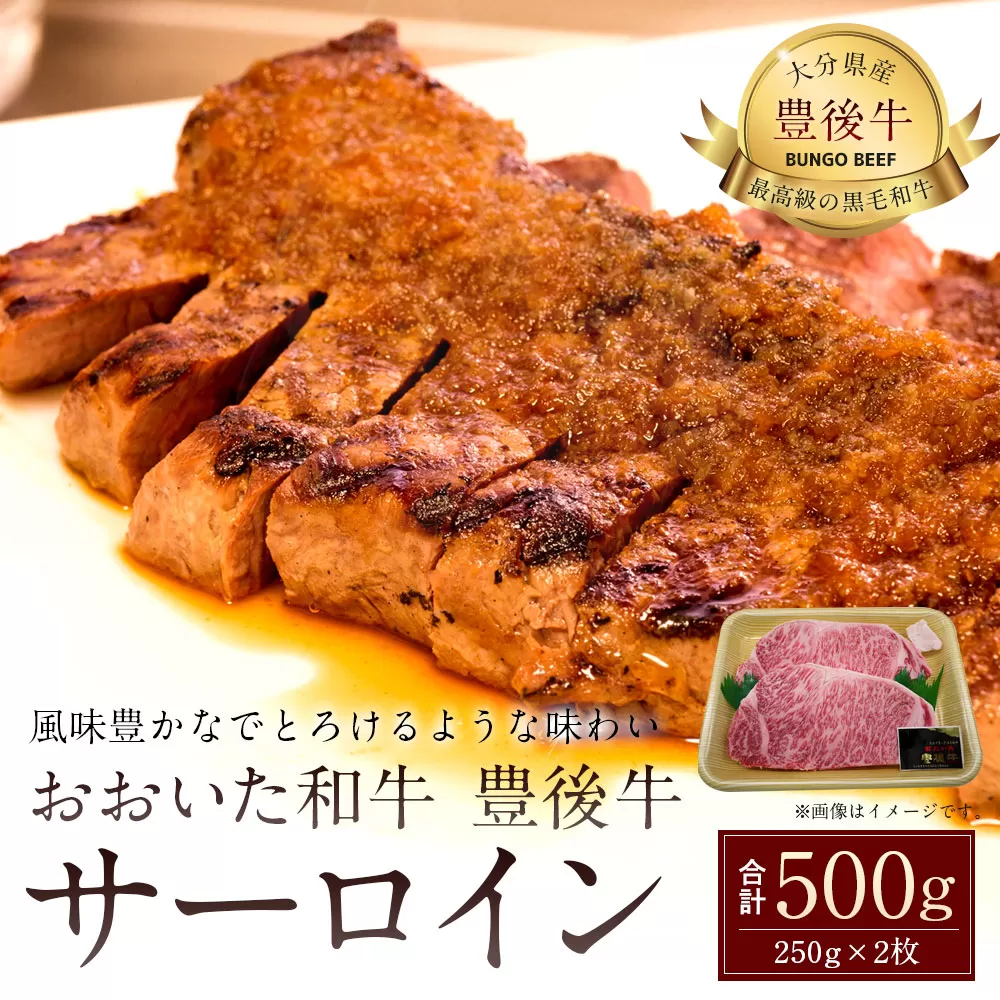 027-109 おおいた和牛 豊後牛 サーロイン 250g×2枚 計500g 牛肉 ステーキ