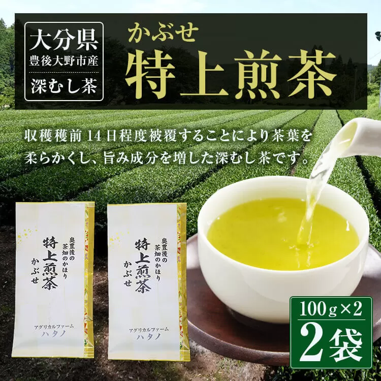 014-184 特上煎茶 かぶせ 100ｇ×2袋 200g
