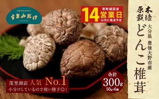 015-958x1 【14営業日以内発送】 原木椎茸 どんこ椎茸 小袋セット  300g（50g×6袋）うまみだけ