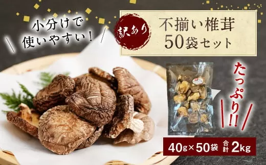 015-963x1 不揃い 椎茸 50袋セット 40g×50袋 合計2kg 干し椎茸 乾燥 しいたけ ギフト