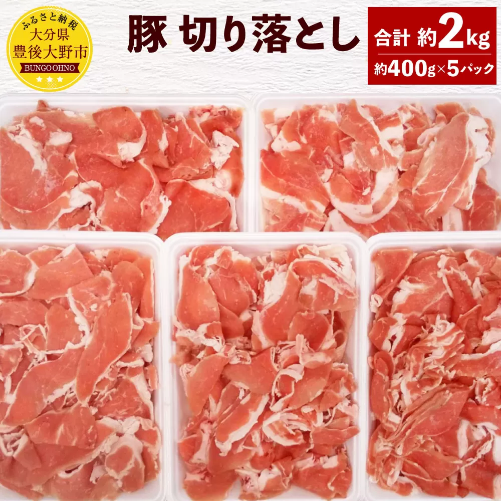 093-476 大分県産 米の恵 豚 切落し 約2kg 約400g×5 豚肉