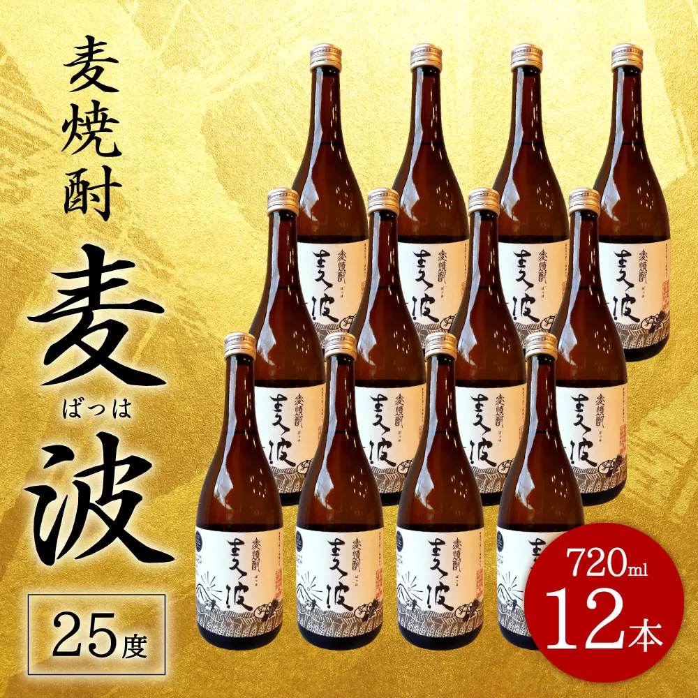 088-450x1 麦焼酎 麦波 ばっは 720ml 12本 セット 25度 焼酎