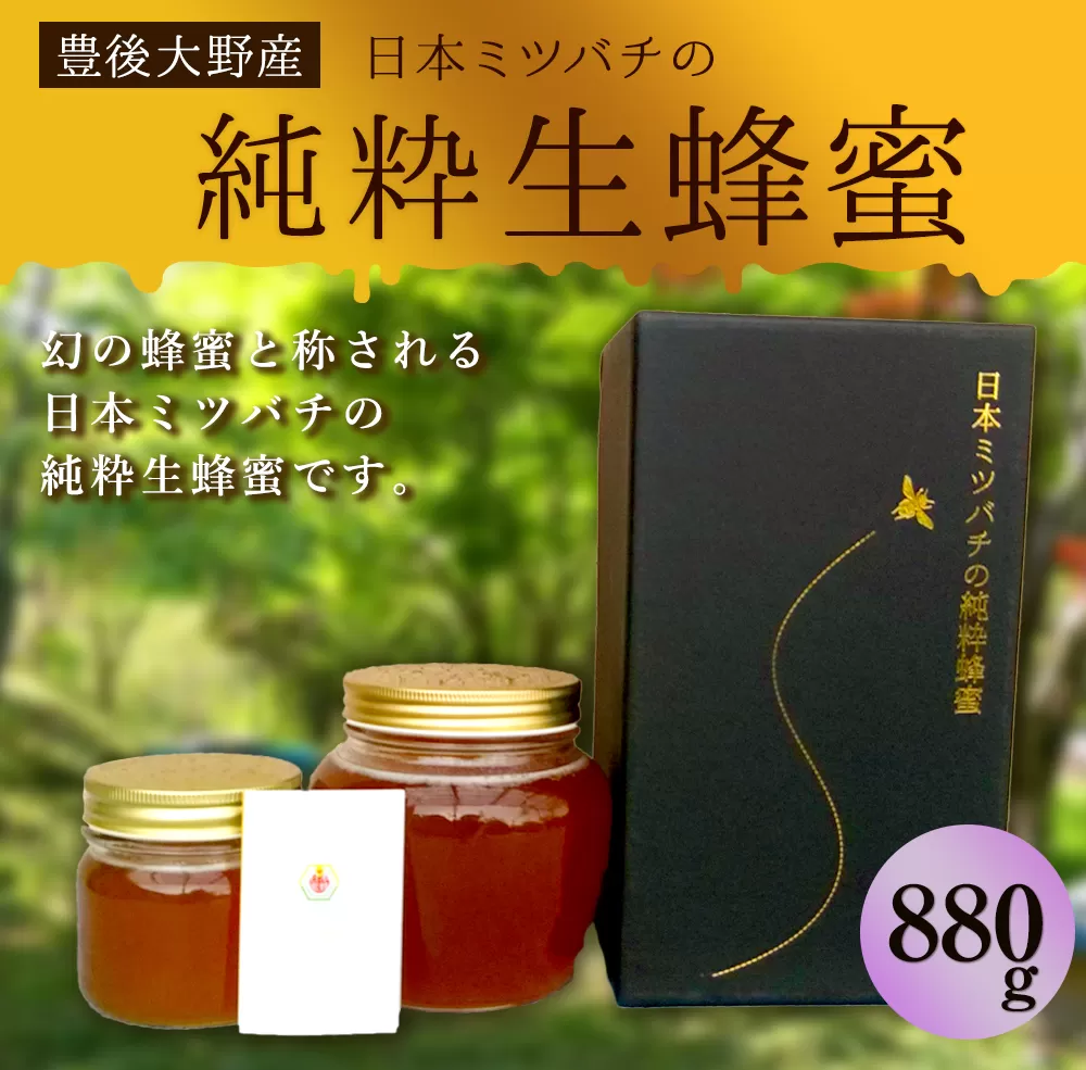 025-766 日本ミツバチ の 純粋 生蜂蜜 880g ハチミツ はちみつ 国産 生はちみつ