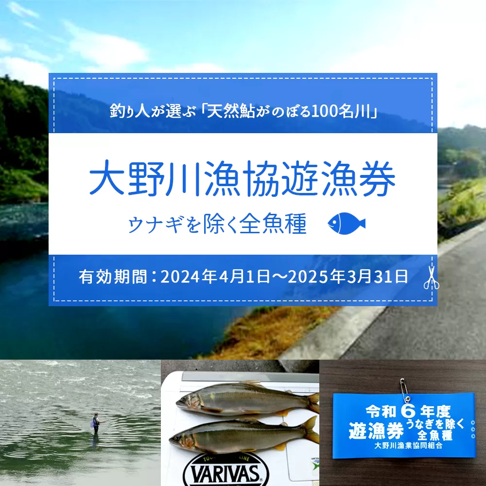 024-1061 大野川漁協遊漁券 ウナギを除く全魚種