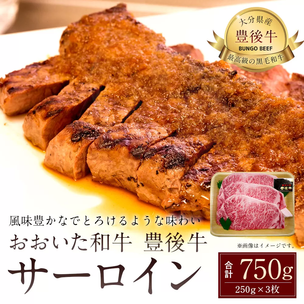 027-110 おおいた和牛 豊後牛  サーロイン 250g×3枚 計750g