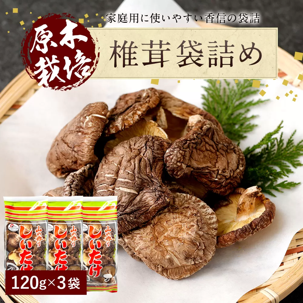 015-1219x1 山盛り 椎茸 袋詰 360g 120g×3袋 大分県豊後大野市産 