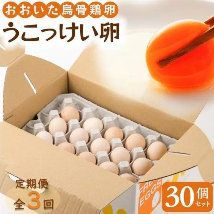 【定期便 全3回】大分うこっけい卵（生食用３０個）