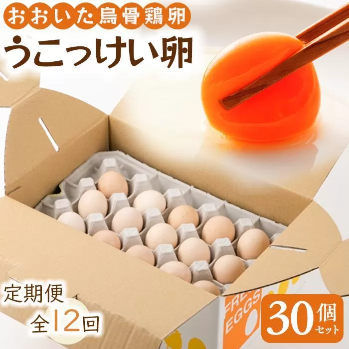 【定期便 全12回】大分うこっけい卵（生食用30個×12回）