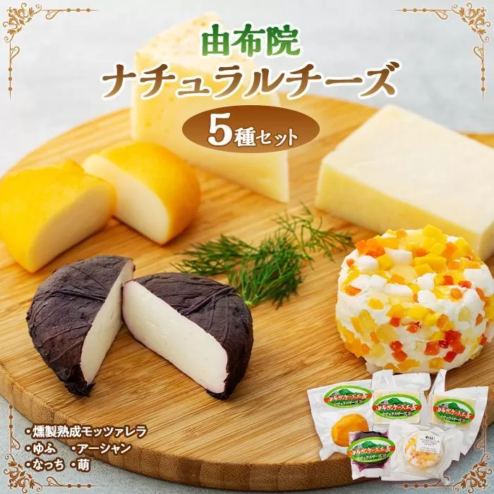 〜由布院チーズ工房からのお届け〜贅沢ナチュラルチーズ5種詰め合わせ！