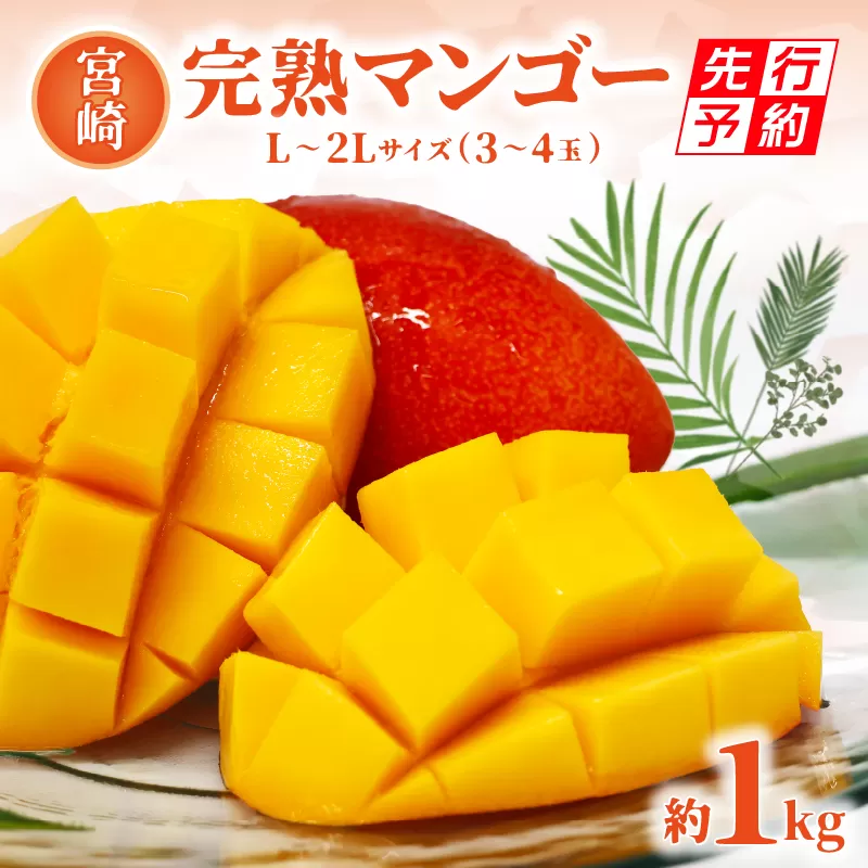 《2025年発送先行予約》【期間・数量限定】宮崎完熟マンゴー 約1kg L～2Lサイズ（3～4玉）_M338-001