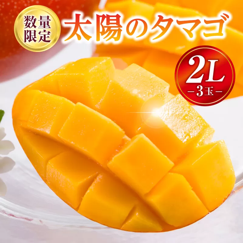 《2025年発送》【期間・数量限定】太陽のタマゴ 2Lサイズ 3玉_M354-001-01