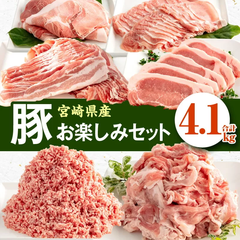 宮崎県産豚お楽しみセット 計4.1kg_M241-002