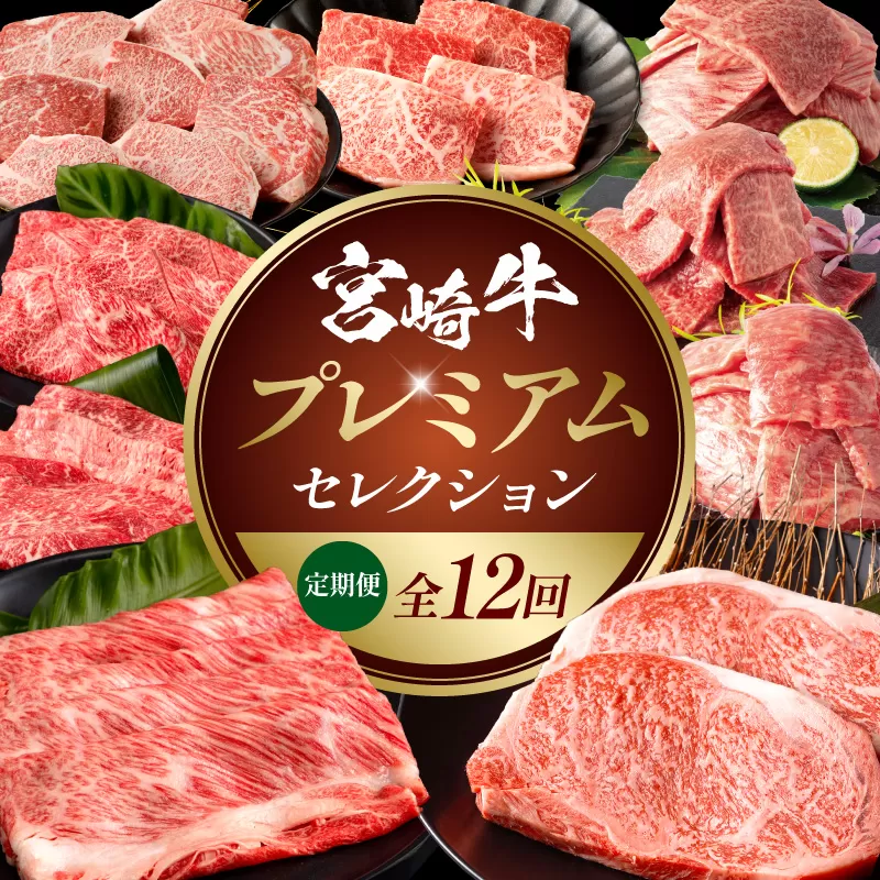 【全12回定期便】宮崎牛プレミアムセレクション_M132-T042-12-1