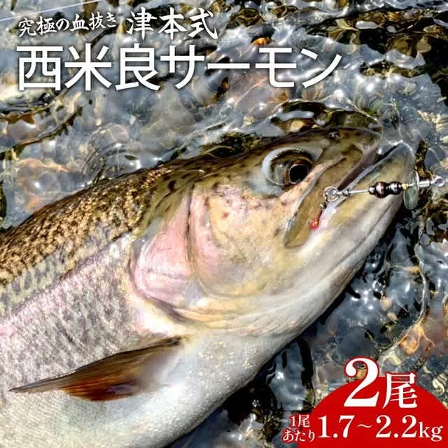 《津本式》西米良サーモン2尾 ～津本光弘本人仕立て～ (1尾1.7～2.2kg)_M135-005_03
