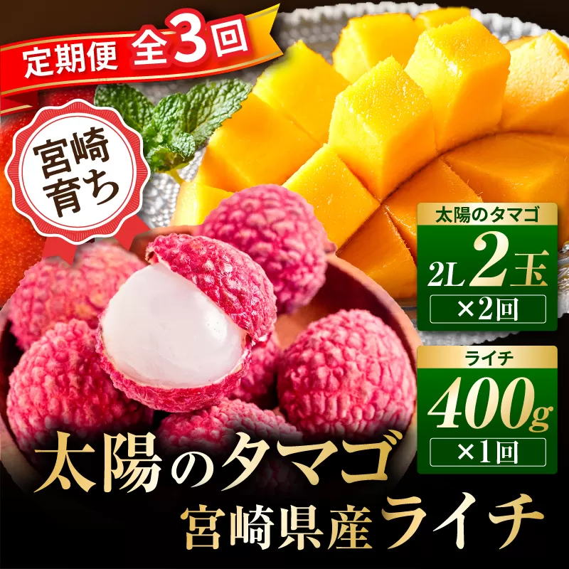 《2026年発送先行予約》【数量・期間限定】【全3回】太陽のタマゴ・ライチ定期便_M348-T011-3-1