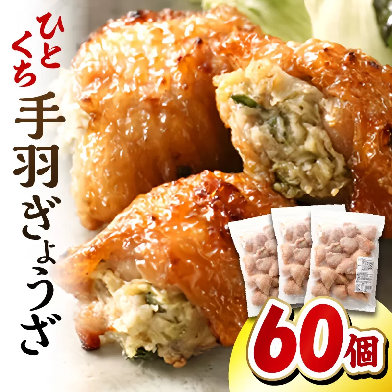 ひとくち 手羽 ぎょうざ 計60個 20個入×3パック_M025-005-02