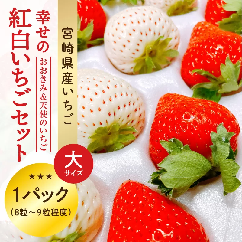 【数量・期間限定】宮崎県産 幸せの紅白いちごセット（おおきみ&天使のいちご）大サイズ1パック_M260-009	