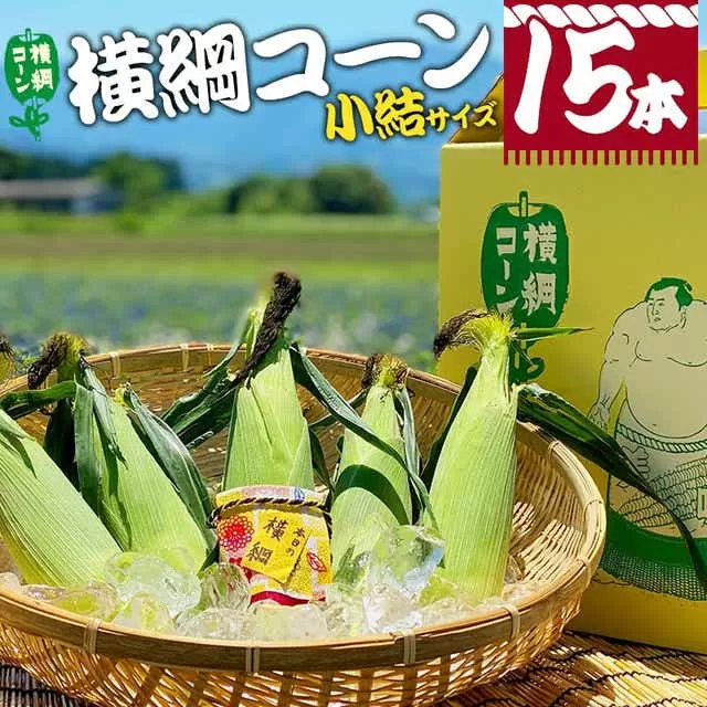【期間・数量限定】横綱コーン(小結サイズ)_M244-001