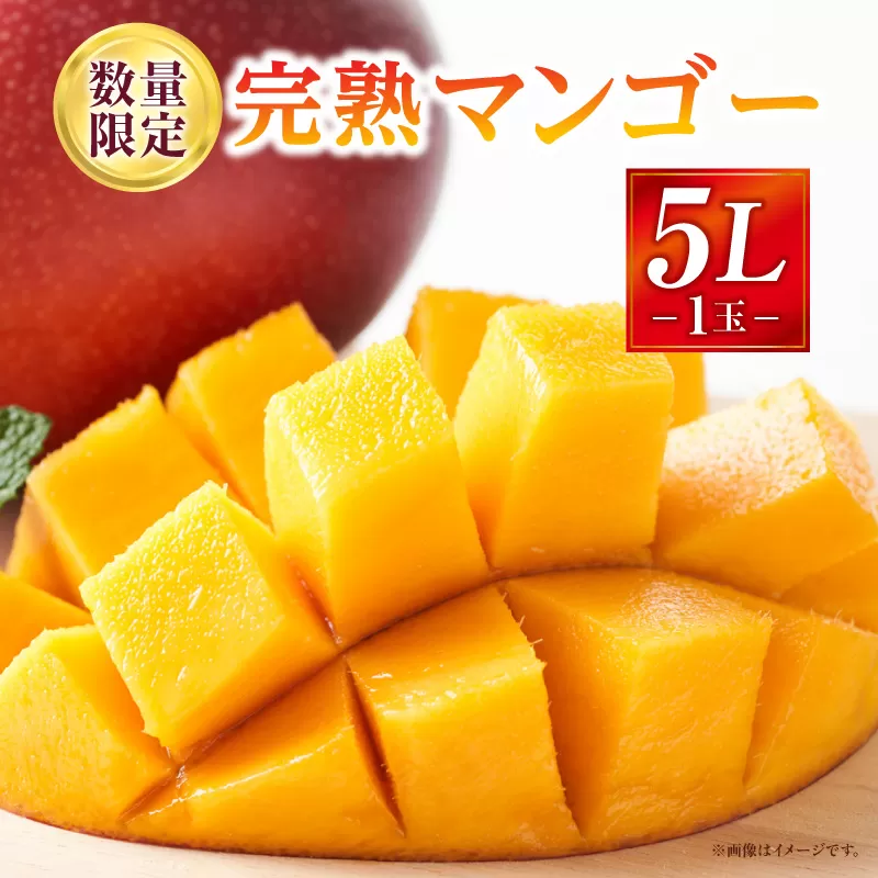 《2025年発送》【期間・数量限定】完熟マンゴー 5Lサイズ 1玉_M354-002-05