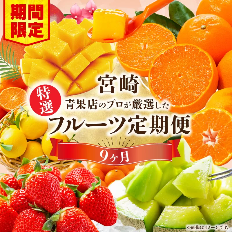 【期間・数量限定】特選！旬のフルーツ9ヶ月定期便vol.1_M348-T002
