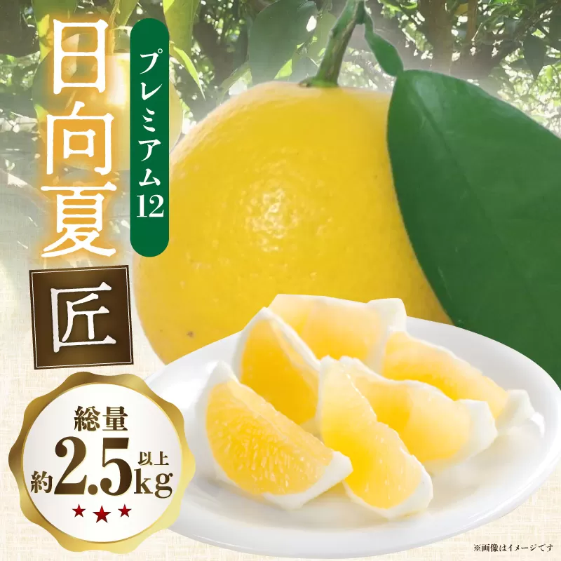 《2025年発送》【期間・数量限定】日向夏「匠」プレミアム12_M279-012