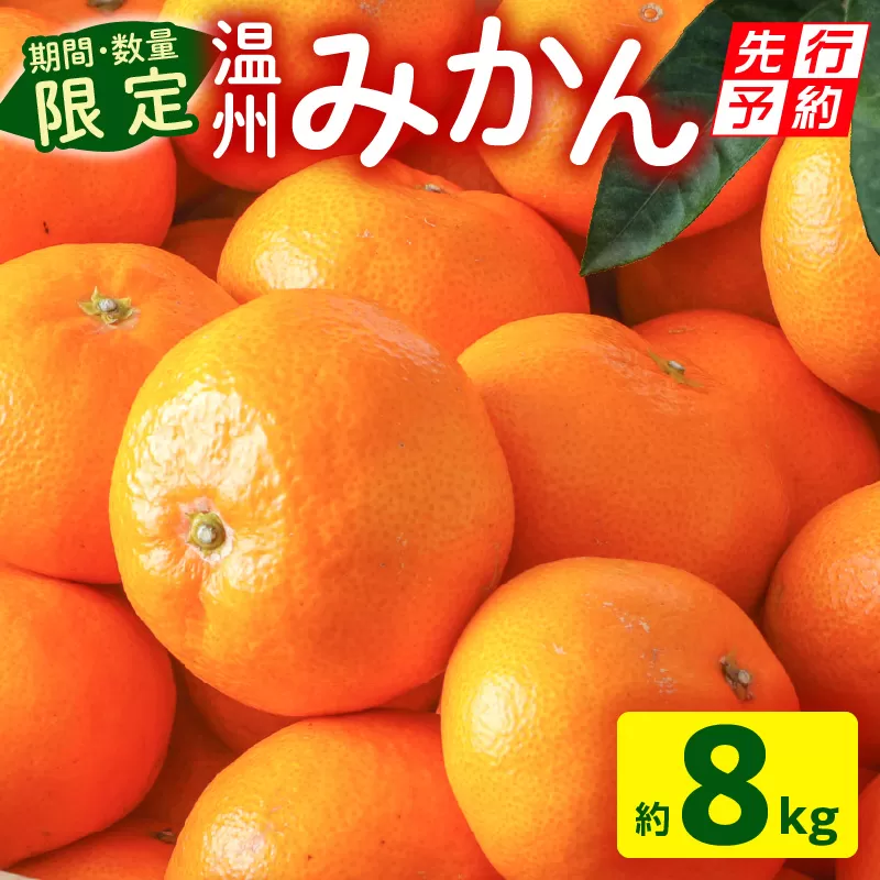 《2025年発送先行予約》【期間・数量限定】温州みかん8kg(傷み補償分200g付き)_M249-001-02