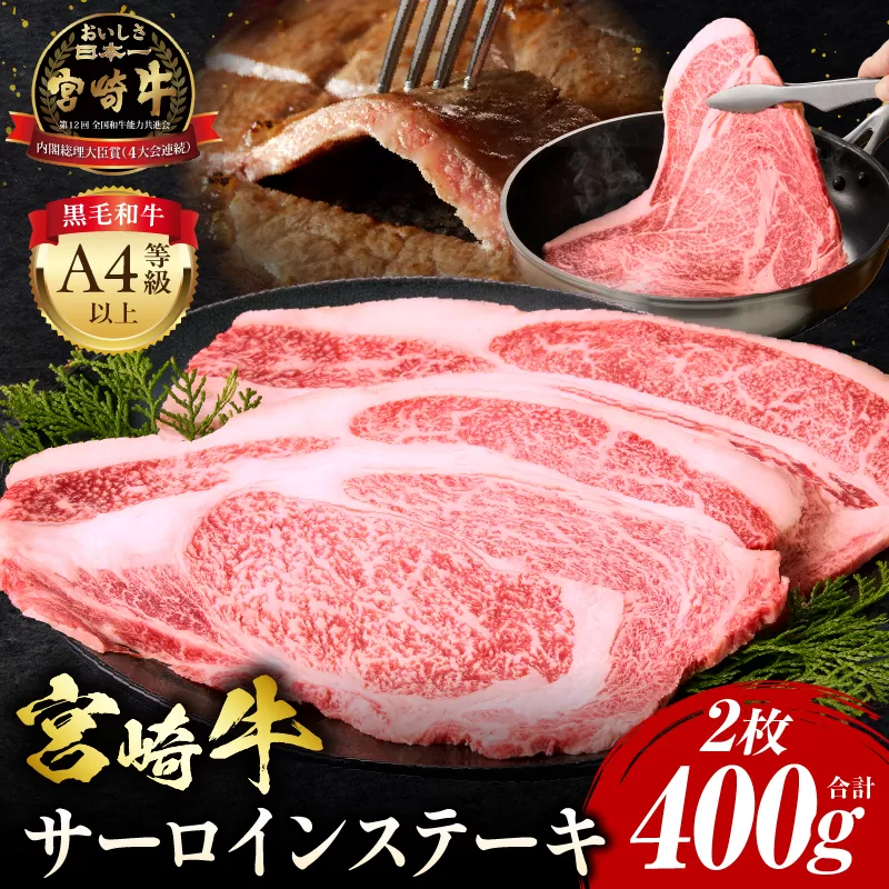 宮崎牛 サーロインステーキ 2枚 合計400g_M243-006