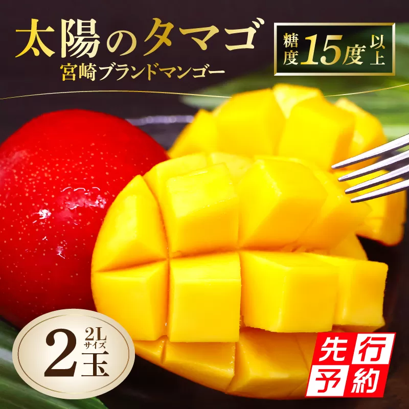 《2025年発送先行予約》【期間・数量限定】太陽のタマゴ 宮崎ブランドマンゴー 約700g 2Lサイズ（2玉）_M338-008