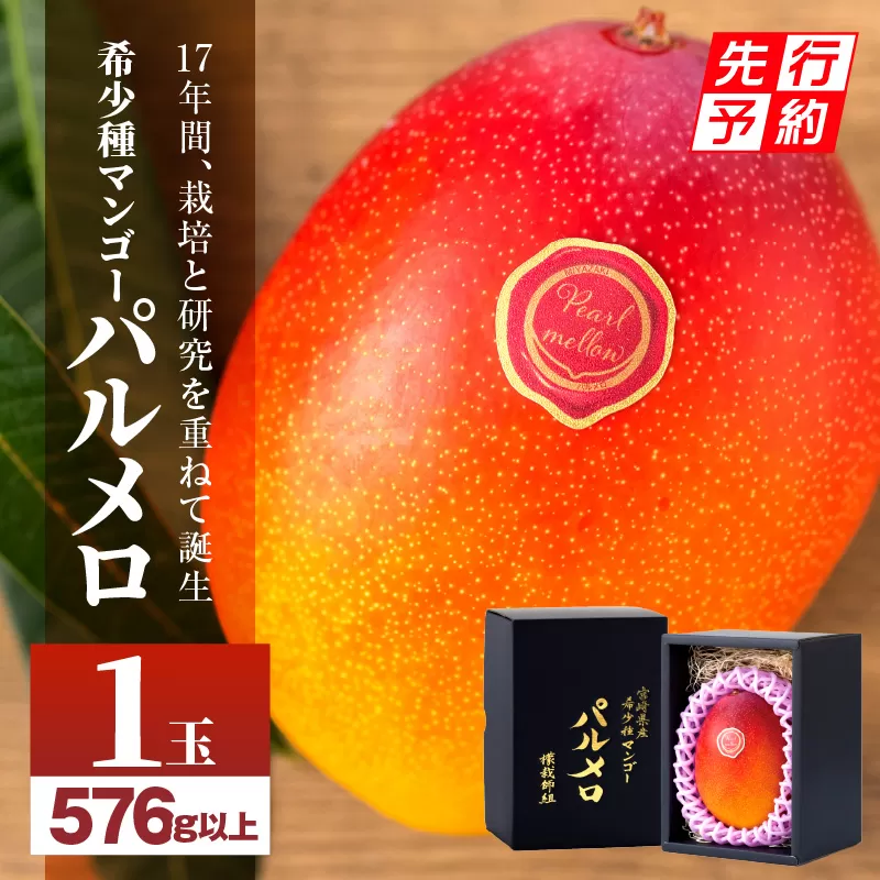 【先行予約】《2025年発送》期間・数量限定 宮崎県産希少種マンゴーパルメロ　計576g以上　1玉入り_M223-003