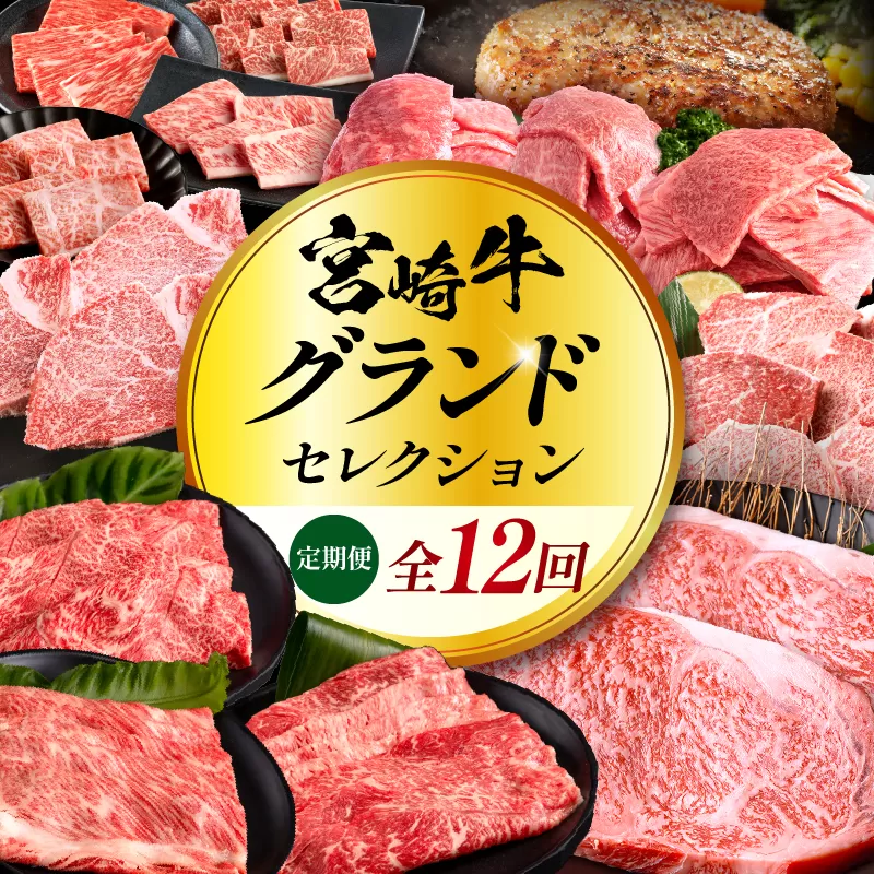 【全12回定期便】宮崎牛グランドセレクション_M132-T043-12-1