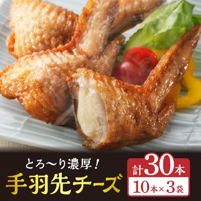 手羽先チーズ30本入り_M025-001-05