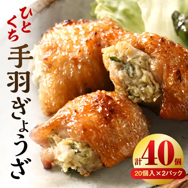 ひとくち 手羽 ぎょうざ 計40個 20個入×2パック_M025-005