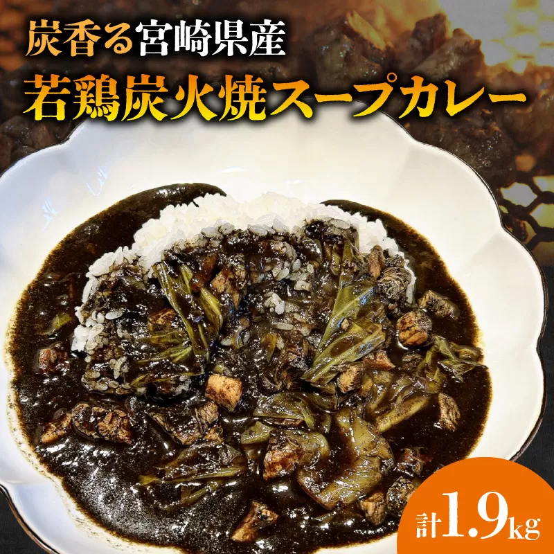 炭香る宮崎県産若鶏炭火焼スープカレー 計1.9kg_M210-009