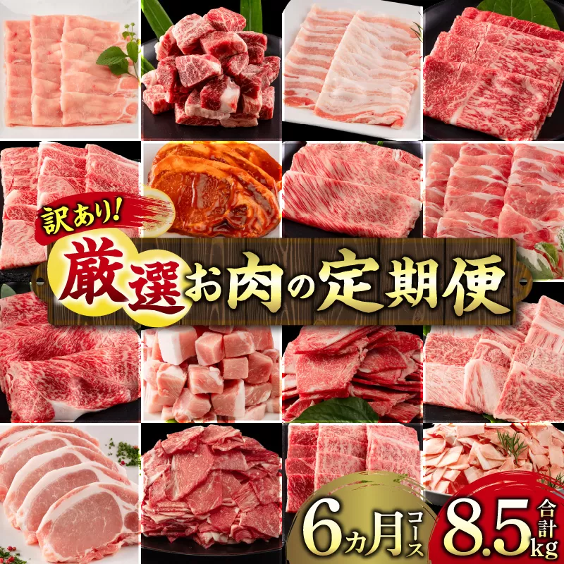 【訳あり】<定期便>宮崎県産黒毛和牛・宮崎県産豚肉 6か月コース_M132-T046