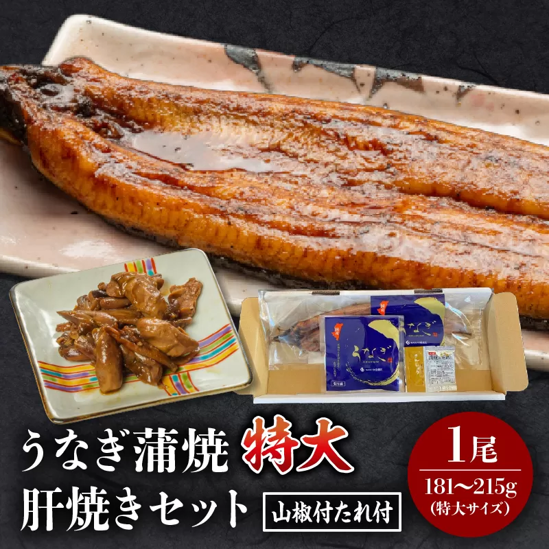 国産うなぎ蒲焼(特大サイズ)・肝焼きセット_M069-015_01