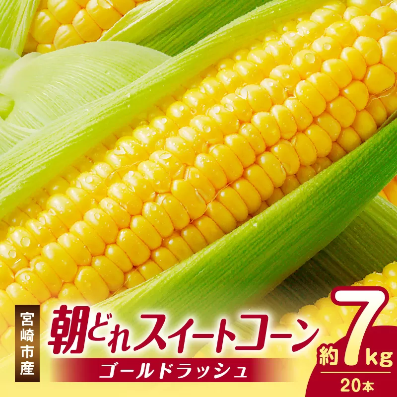 《2026年発送先行予約》【数量・期間限定】宮崎市産朝どれスイートコーン（ゴールドラッシュ）約7kg_M320-001_01