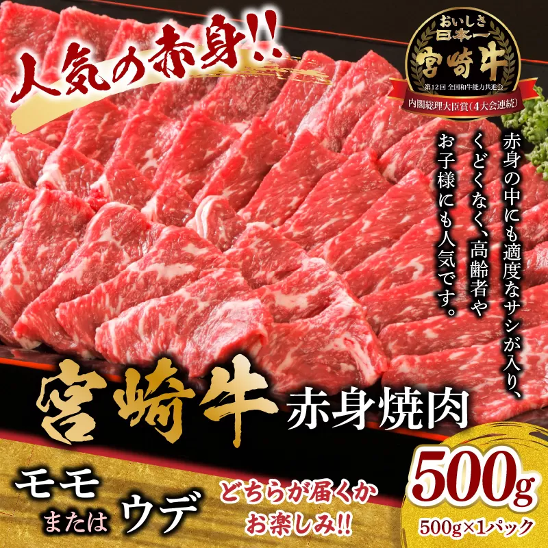 宮崎牛 モモ or ウデ 赤身焼肉500g_M299-003-01