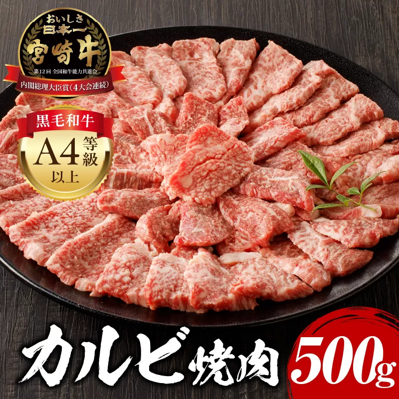 宮崎牛 カルビ 焼肉 500g_M243-004