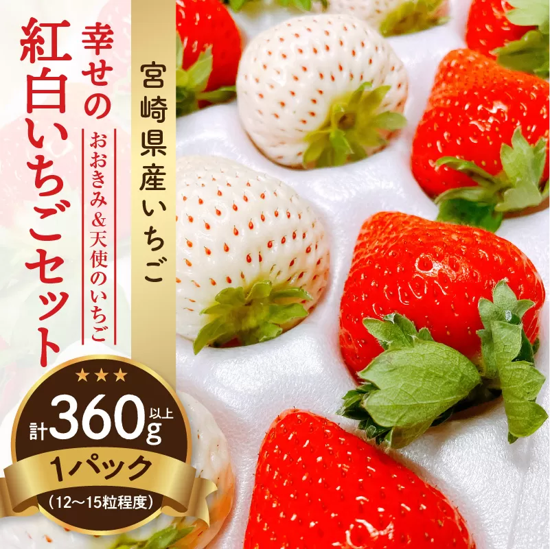 【数量・期間限定】宮崎県産 幸せの紅白いちごセット（おおきみ&天使のいちご）1パック_M260-006	