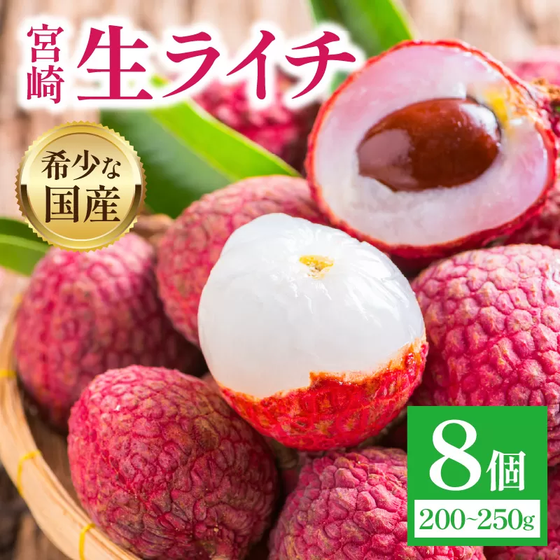 《2026年発送先行予約》【数量・期間限定】宮崎生ライチ_M342-002