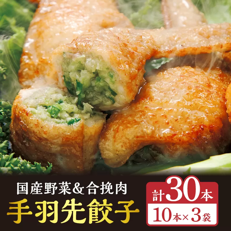 手羽先餃子30本入り_M025-001-03