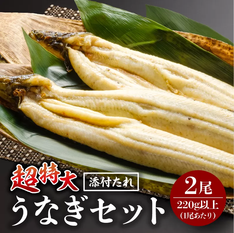 うなぎ白焼(超特大サイズ) 2尾_M069-023