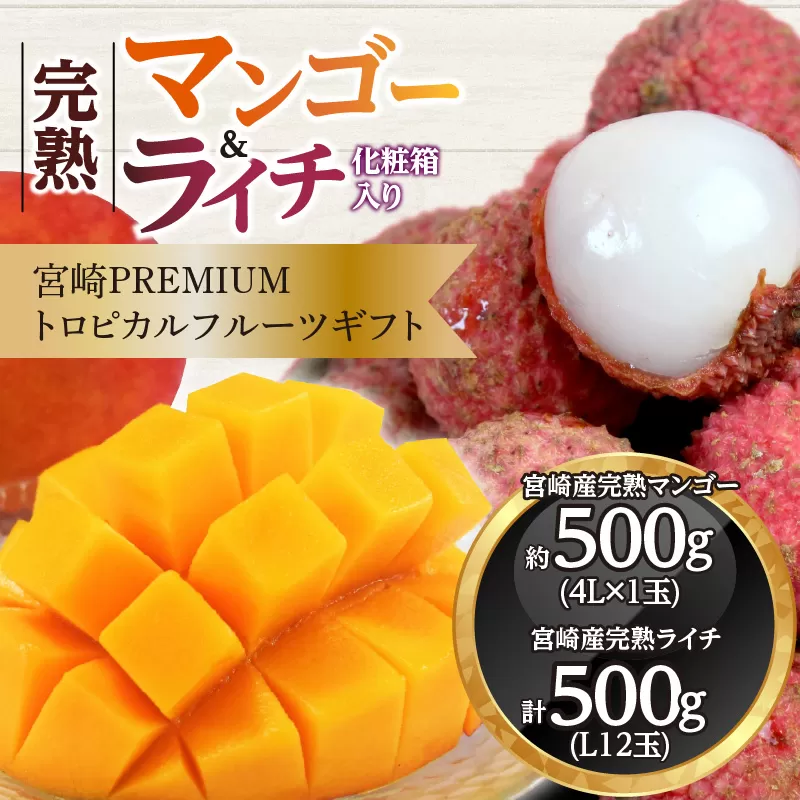 《2026年発送先行予約》【数量・期間限定】宮崎マンゴー4L×1・宮崎ライチ12玉_M279-004