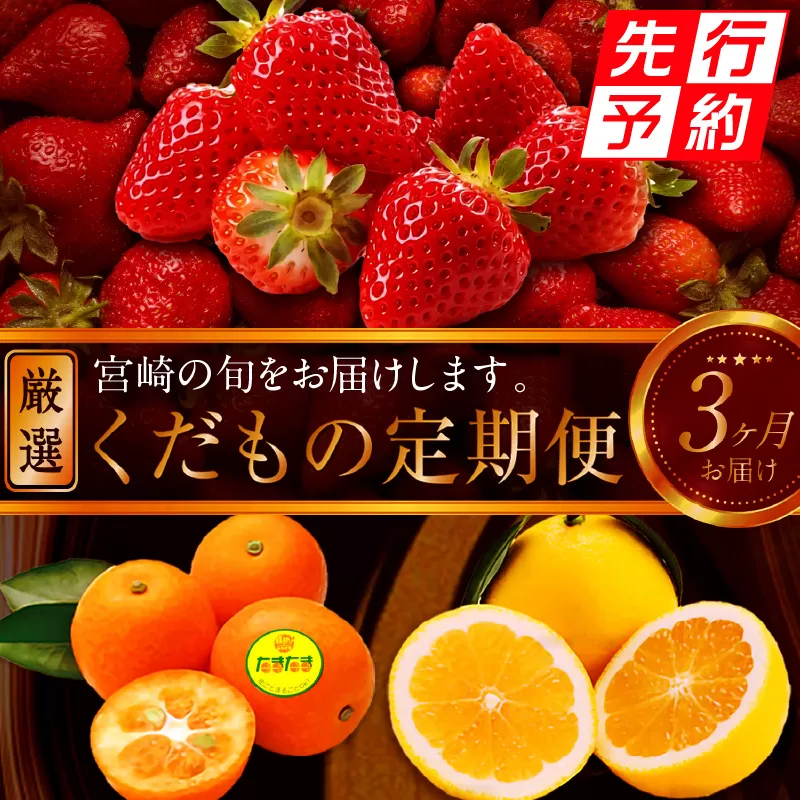 《2025年発送先行予約》【期間・数量限定】青果店厳選！「3ヶ月お届け！くだもの定期便Vol.2」_M153-T022