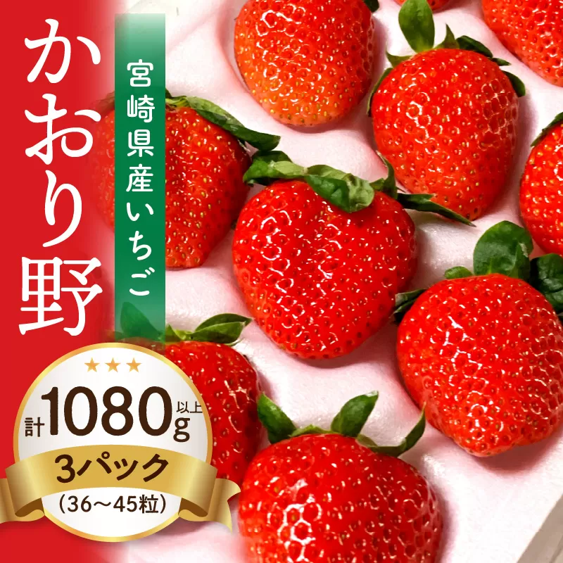 【期間・数量限定】宮崎県産いちご「かおり野」3パック（計1080g以上：36粒～45粒）_M260-014