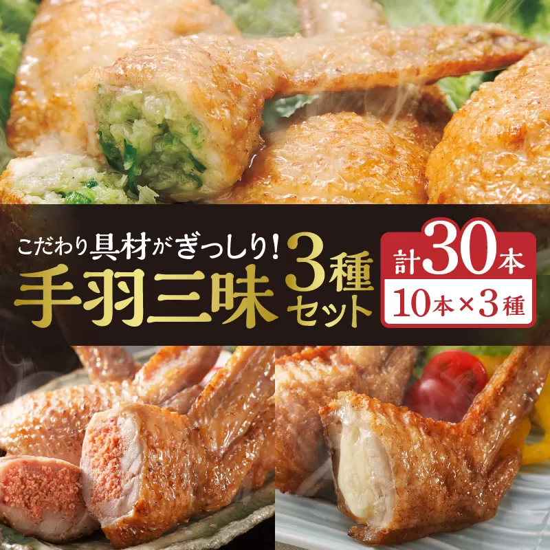 手羽三昧3種セット(手羽先餃子・手羽先明太・手羽先チーズ各10本入り)_M025-001_02